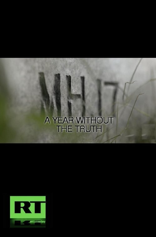MH17: A year without the truth poster