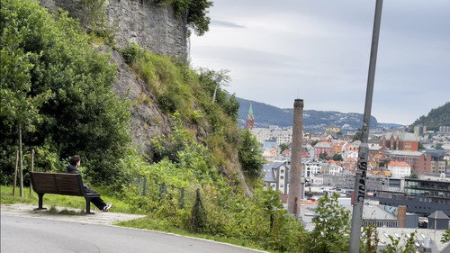 An Image in the Shadow