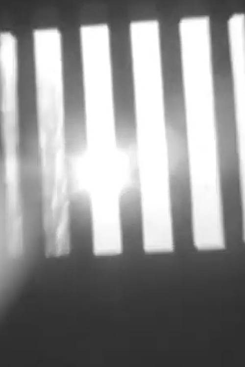 The Window Open Toward