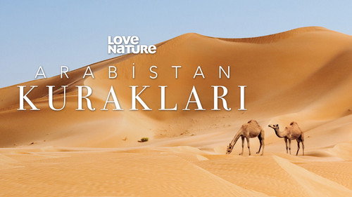 Arabistan Kurakları - Season 1 Backdrop Blur