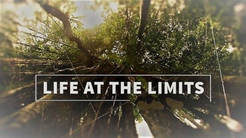Life at the Limits - Season 1 Backdrop Blur