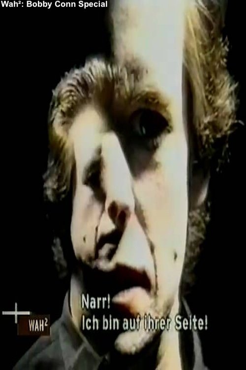 Wah²: Bobby Conn Special (2001) poster