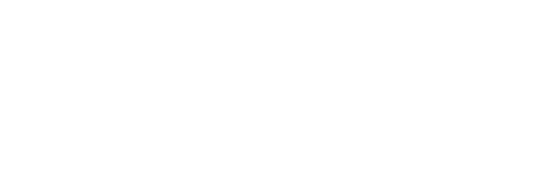 The November Man