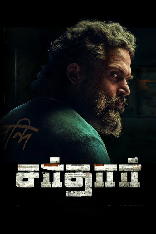Sardar poster