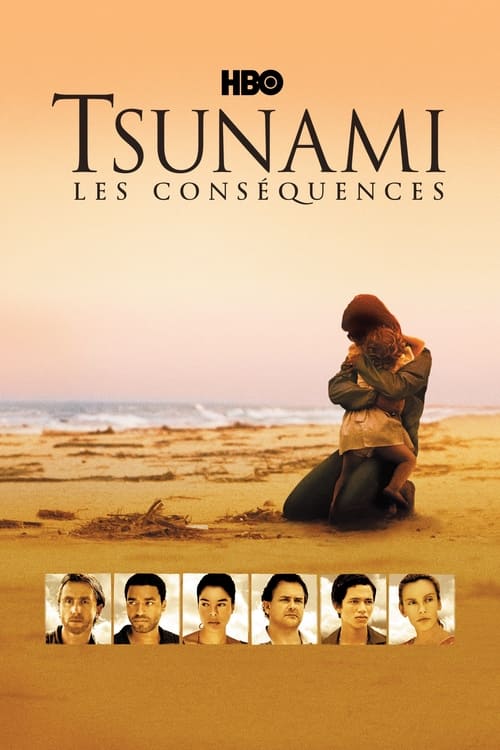 Tsunami : les conséquences poster