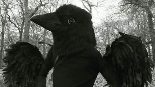 Sight still
