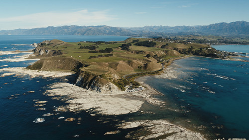 The Bones of Our Past