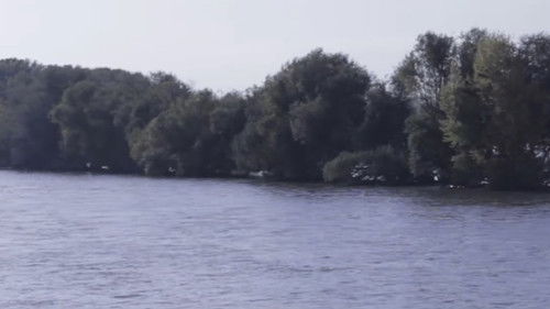 backdrop Flow & Rive