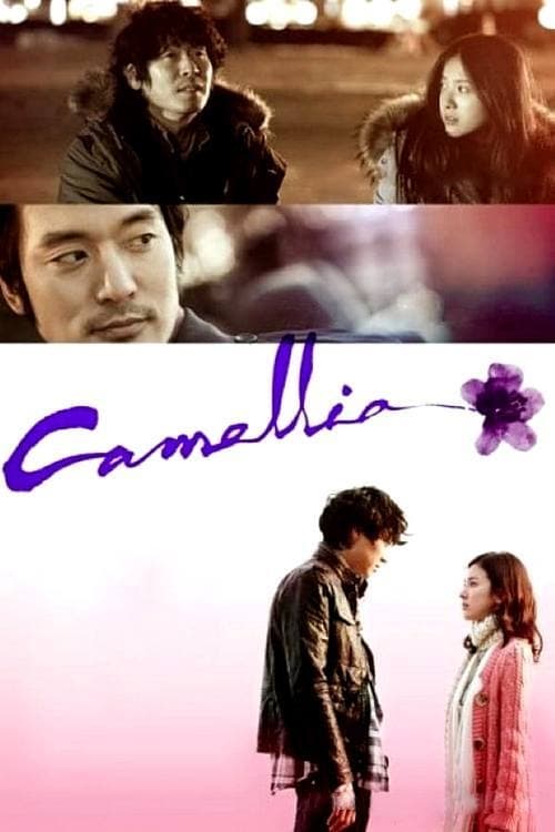 Camellia poster