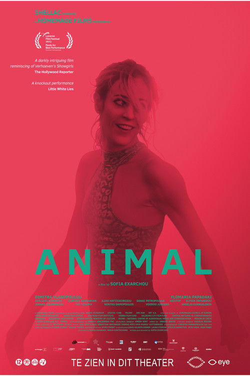 Animal poster