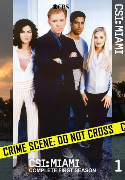 Where to stream CSI: Miami Season 1