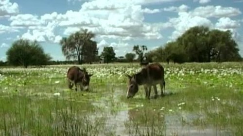 Épisode 8