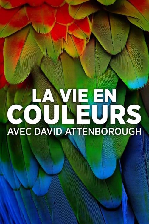 La vie en couleurs avec David Attenborough (2021)