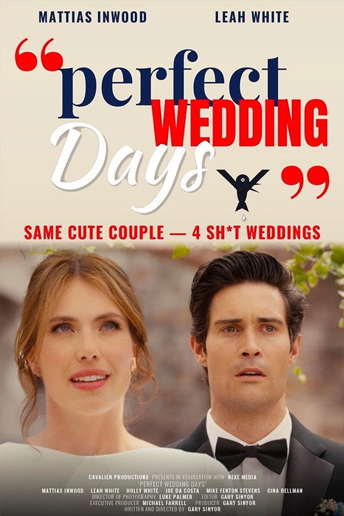 Perfect Wedding Days poster