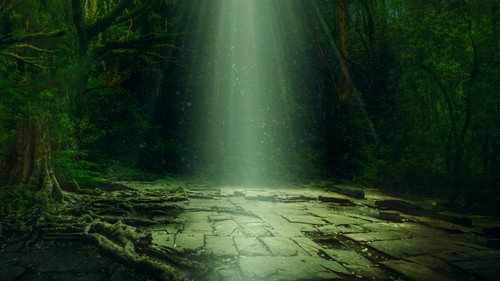 Lost Cities of the Amazon - Season 1 Backdrop Blur