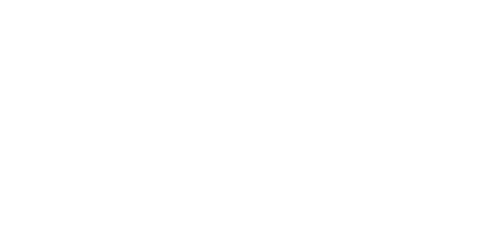 Villa Amore logo