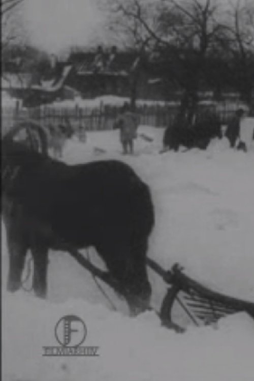 Suur lumetuisk Baltimaal jõulukuul 1913 movie poster player