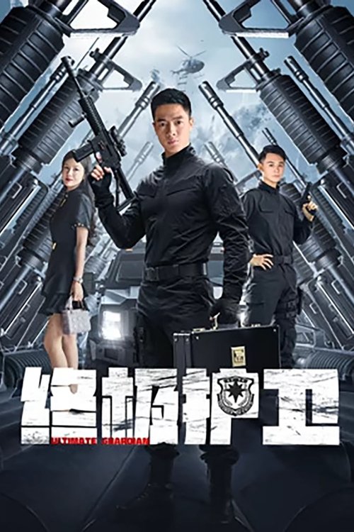 终极护卫 poster