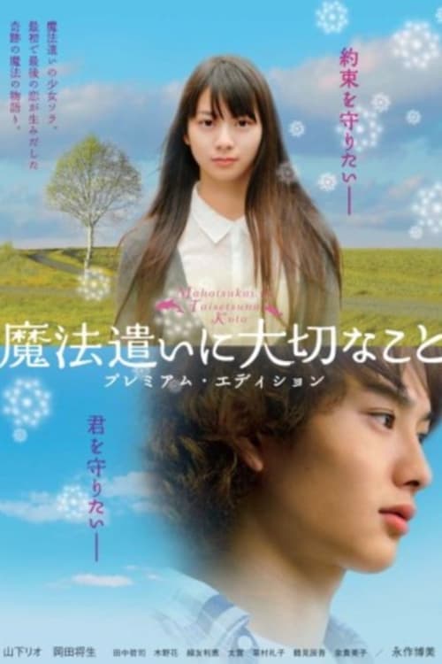 魔法遣いに大切なこと (2008) poster