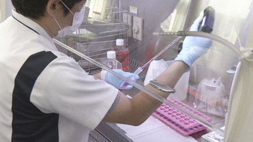 Hiroshima: Solving the Genetic Puzzle