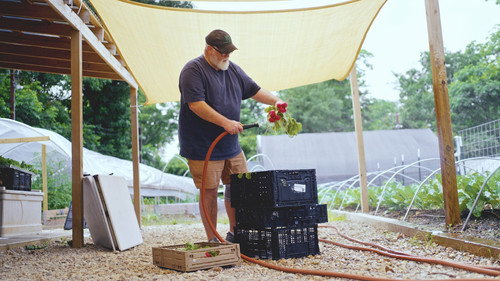 Grow a Better Dallas