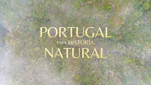 Portugal, Uma História Natural - Season 1 Backdrop Blur