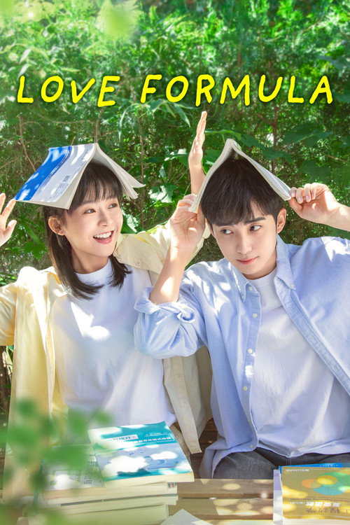 Love Formula poster