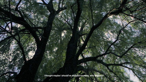 What the Stars Don’t Tell