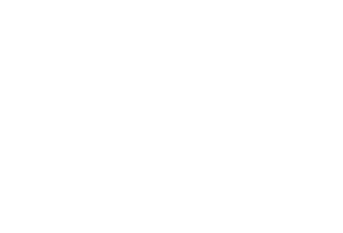 Tin Toy
