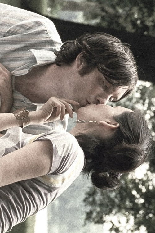 Watching the Detectives poster