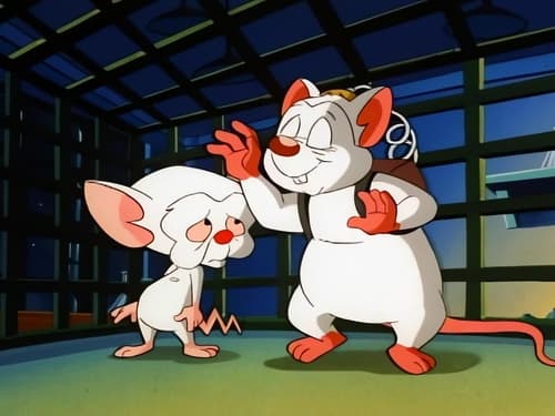 Poster della serie Pinky and the Brain