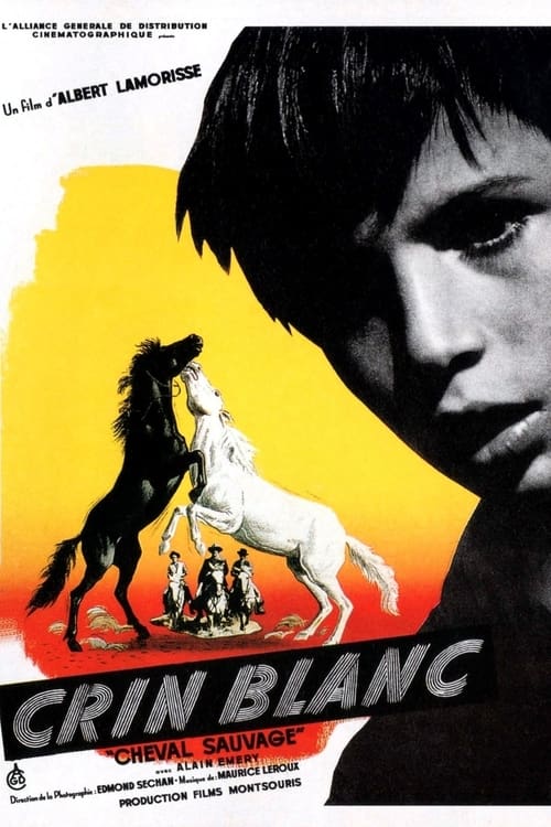 White Mane poster