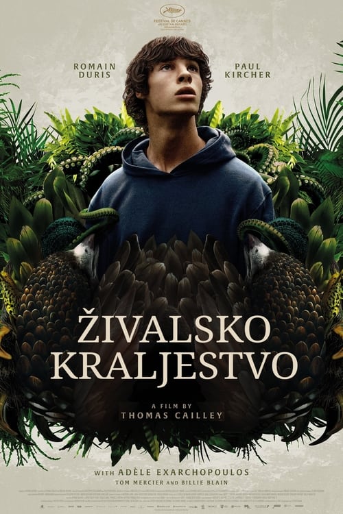 Posters