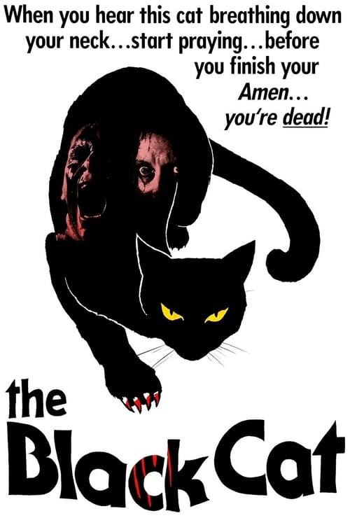 The Black Cat (1981)