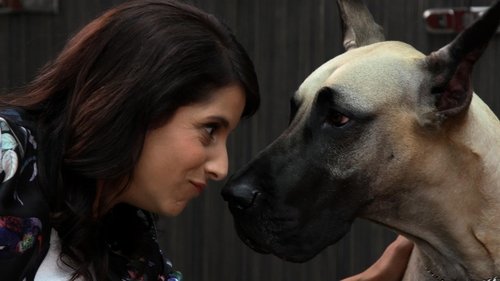 Image de l'épisode 3