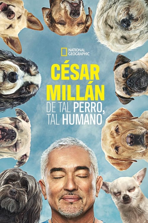 Cesar Millan: Mejores Humanos, Mejores Perros