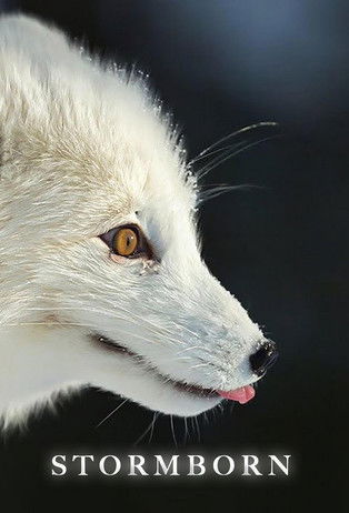 Escena 5 de Stormborn