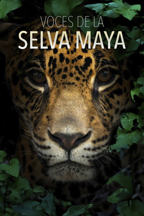 Voces de la Selva Maya: Una Batalla por la Vida poster