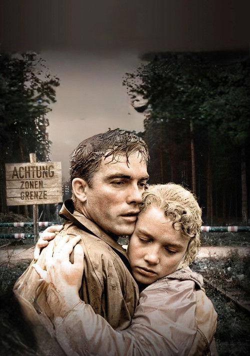 Sky Without Stars poster