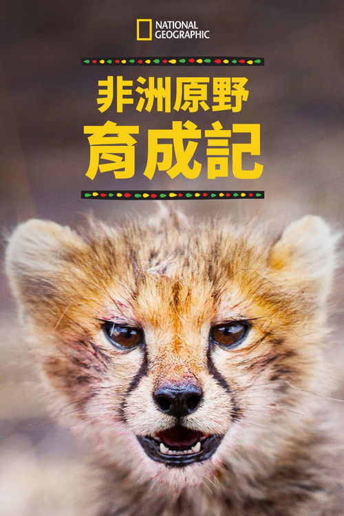 非洲原野育成记