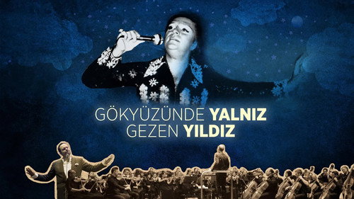 Gökyüzünde Yalnız Gezen Yıldız Backdrop Blur
