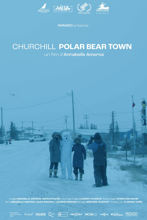 Churchill, Polar Bear Town