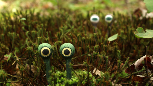 backdrop Sum of its Parts