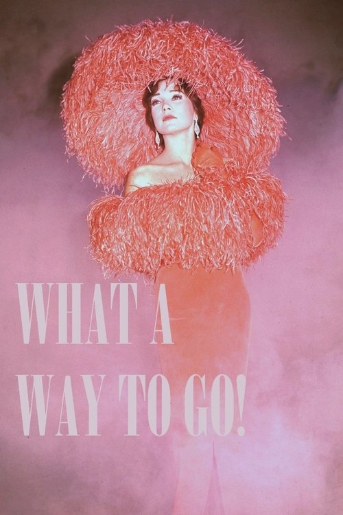 Poster 13