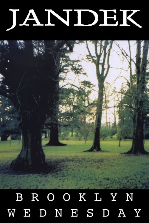 Jandek: Brooklyn Wednesday (2008) poster