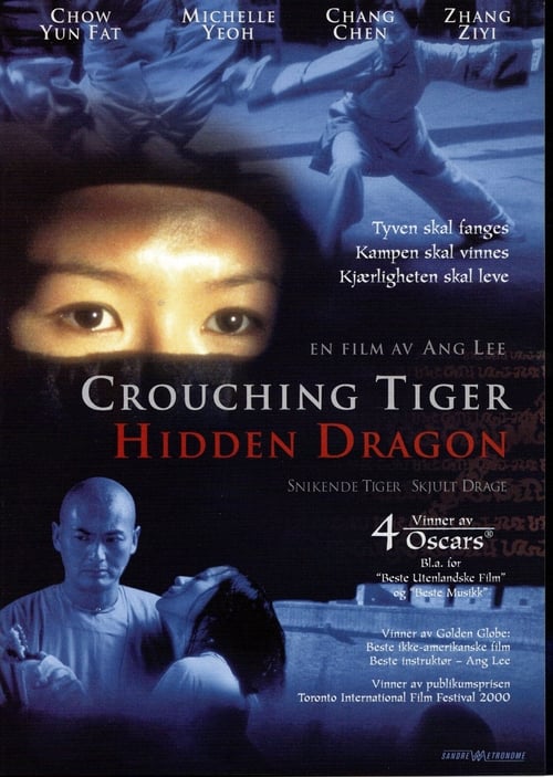 New Crouching Tiger, Hidden Dragon (2004) poster