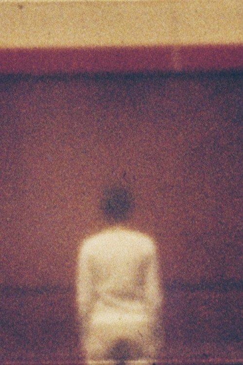 Figures in the Landscape (2002) poster