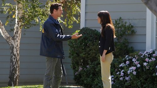 The Mentalist: 4×6