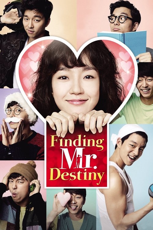 Finding Mr. Destiny poster