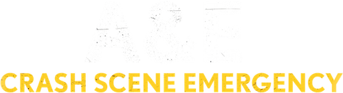 A&E: Crash Scene Emergency